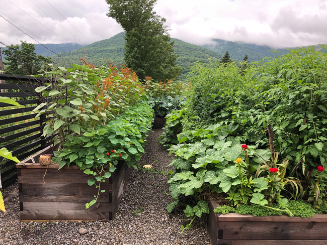 Digging Deeper: A Chef's Garden in the Catskills